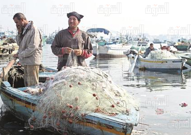 الاسكندريه - تصوير محمود خالد